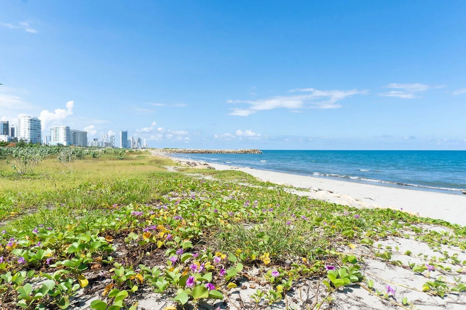 Appartamento Cb1223 Suite En Crespo Frente Al Mar 10Min Centro Cartagena
